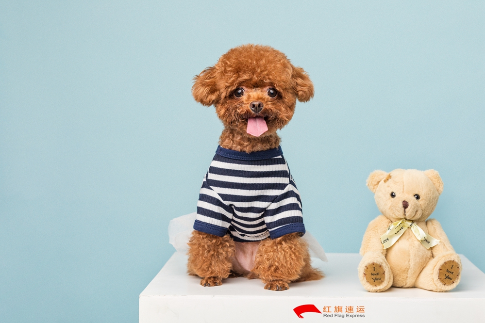 玩具香港進口清關 玩具香港進口清關